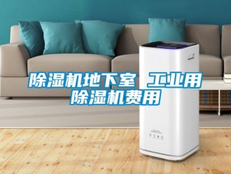 常見問題除濕機地下室 工業(yè)用除濕機費用