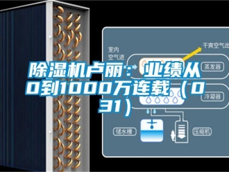行業(yè)新聞除濕機盧麗：業(yè)績從0到1000萬連載（031）