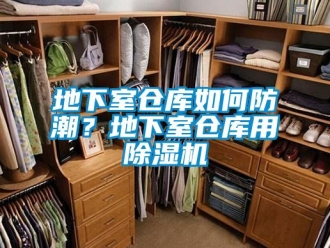 常見問題地下室倉庫如何防潮？地下室倉庫用除濕機