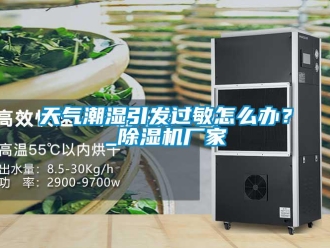 常見問題天氣潮濕引發過敏怎么辦？_除濕機廠家