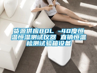 知識(shí)百科貨源供應(yīng)80L -40度恒溫恒濕測(cè)試儀器 直銷恒溫檢測(cè)試驗(yàn)箱設(shè)備