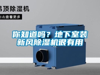 常見問題你知道嗎？地下室裝新風除濕機很有用