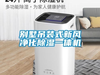 常見問題別墅吊裝式新風凈化除濕一體機