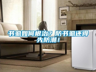 常見問題書虱如何根治？防書虱還得先防潮！