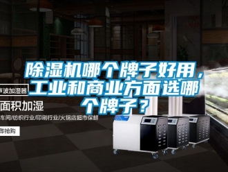 常見問題除濕機哪個牌子好用，工業和商業方面選哪個牌子？
