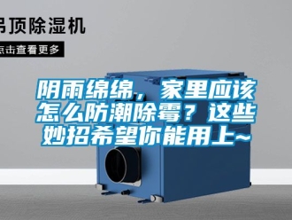常見問題陰雨綿綿，家里應該怎么防潮除霉？這些妙招希望你能用上~