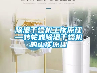 常見問題除濕干燥機工作原理—轉(zhuǎn)輪式除濕干燥機的工作原理