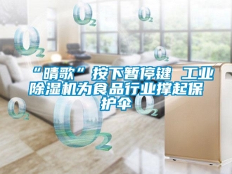 常見問題“晴歌”按下暫停鍵 工業(yè)除濕機(jī)為食品行業(yè)撐起保護(hù)傘