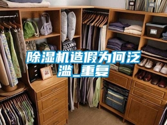行業(yè)新聞除濕機(jī)造假為何泛濫_重復(fù)