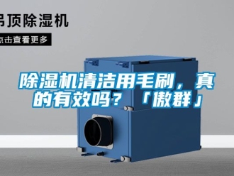 行業(yè)新聞除濕機清潔用毛刷，真的有效嗎？「傲群」