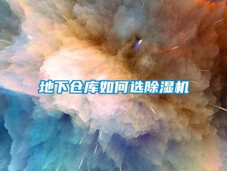 常見問題地下倉庫如何選除濕機