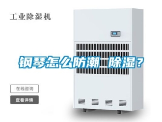 常見問題鋼琴怎么防潮 除濕？