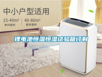 知識百科鋰電池恒溫恒濕試驗箱訂制