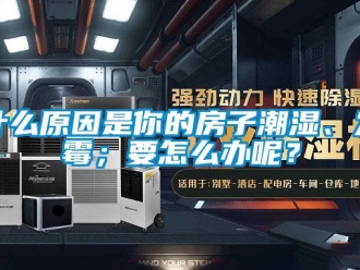 常見問題什么原因是你的房子潮濕、發霉；要怎么辦呢？