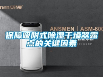 常見問題保障吸附式除濕干燥器露點的關鍵因素