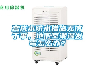 企業新聞高成本防水措施無濟于事，地下室潮濕發霉怎么辦？