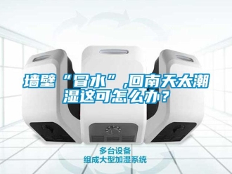 常見問題墻壁“冒水”,回南天太潮濕這可怎么辦？