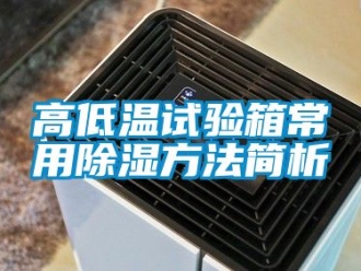 常見問題高低溫試驗箱常用除濕方法簡析