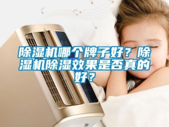 行業(yè)新聞除濕機哪個牌子好？除濕機除濕效果是否真的好？