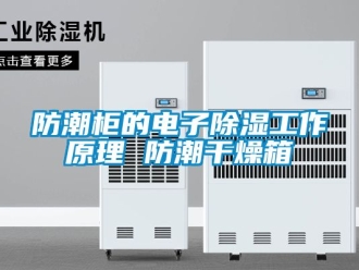 常見問題防潮柜的電子除濕工作原理 防潮干燥箱