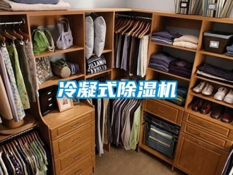 行業(yè)新聞冷凝式除濕機(jī)