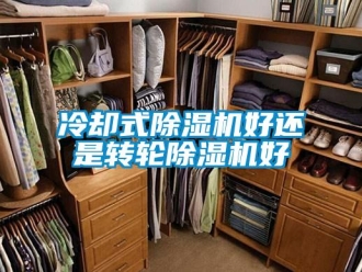 行業(yè)新聞冷卻式除濕機(jī)好還是轉(zhuǎn)輪除濕機(jī)好