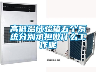 常見問題高低溫試驗(yàn)箱五個(gè)系統(tǒng)分別承擔(dān)做什么工作呢