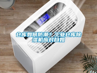 常見問題倉庫如何防潮？工業倉庫除濕機應對自如