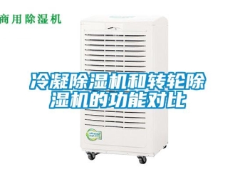 行業(yè)新聞冷凝除濕機(jī)和轉(zhuǎn)輪除濕機(jī)的功能對(duì)比