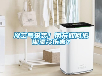 常見問題冷空氣來襲！南方如何抵御濕冷傷害？