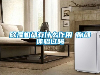行業(yè)新聞除濕機都有什么作用 你都體驗過嗎