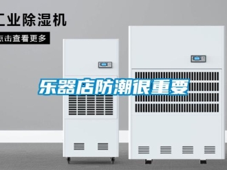 行業(yè)新聞樂器店防潮很重要