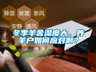 常見問題冬季羊舍濕度大，養羊戶如何應對啊？