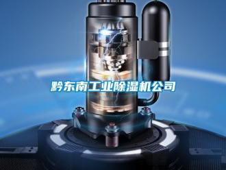 常見問題黔東南工業(yè)除濕機(jī)公司