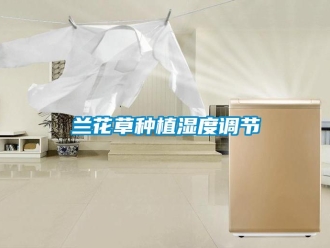 行業(yè)新聞蘭花草種植濕度調(diào)節(jié)