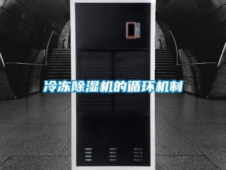 行業(yè)新聞冷凍除濕機的循環(huán)機制