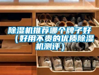 行業新聞除濕機推薦哪個牌子好（好用不貴的優質除濕機測評）