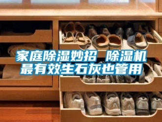 行業新聞家庭除濕妙招 除濕機最有效生石灰也管用