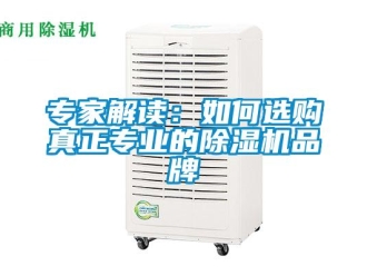 常見問題專家解讀：如何選購真正專業的除濕機品牌