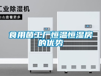 知識百科食用菌工廠恒溫恒濕房的優(yōu)勢