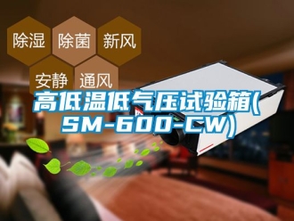 常見問題高低溫低氣壓試驗箱(SM-600-CW)