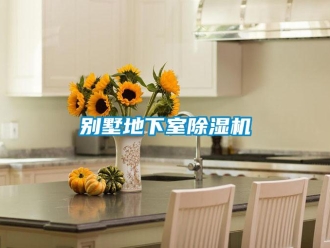 常見問題別墅地下室除濕機