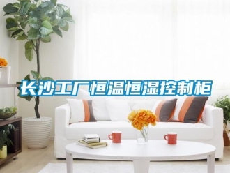 知識百科長沙工廠恒溫恒濕控制柜