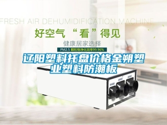 常見問題遼陽塑料托盤價格金朔塑業塑料防潮板