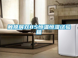知識百科觸摸屏雙85恒溫恒濕試驗箱