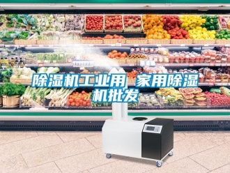 常見問題除濕機工業(yè)用 家用除濕機批發(fā)