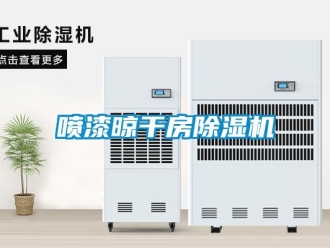 行業新聞噴漆晾干房除濕機