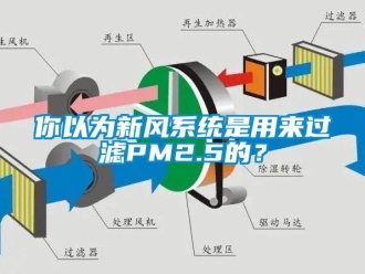 行業(yè)新聞你以為新風(fēng)系統(tǒng)是用來過濾PM2.5的？