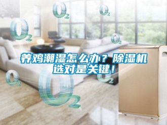 常見問題養雞潮濕怎么辦？除濕機選對是關鍵！