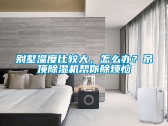 常見問題別墅濕度比較大，怎么辦？吊頂除濕機幫你除煩惱